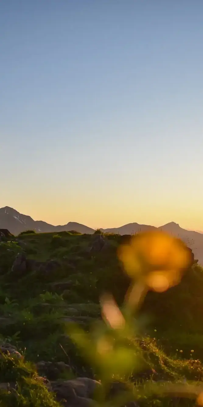 TVB-Pillerseetal-Sommer-3-© Sina Bodingbauer